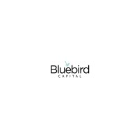 Bluebird Capital